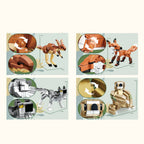 Wildlife Animal World Creative Bundle
