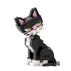 Tilting Head Tuxedo Cat