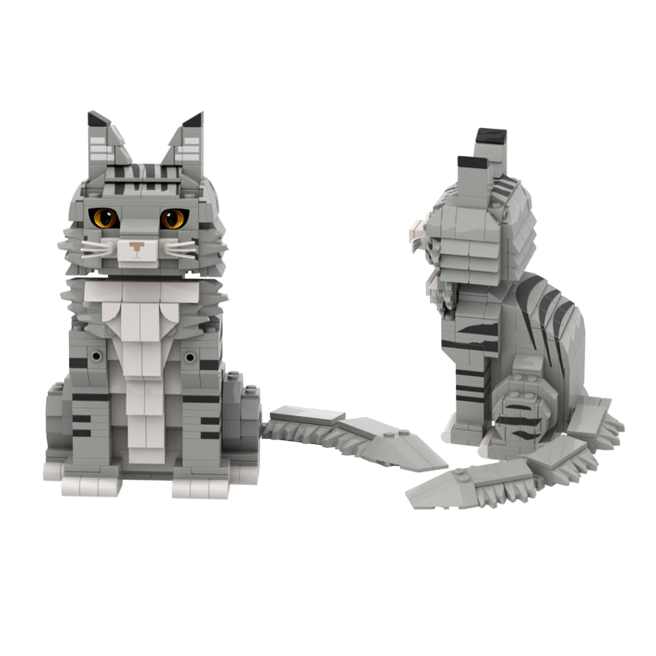 Gery Tabby Maine Coon Building Blocks