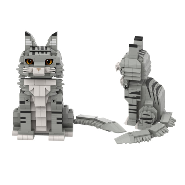 Gery Tabby Maine Coon Building Blocks