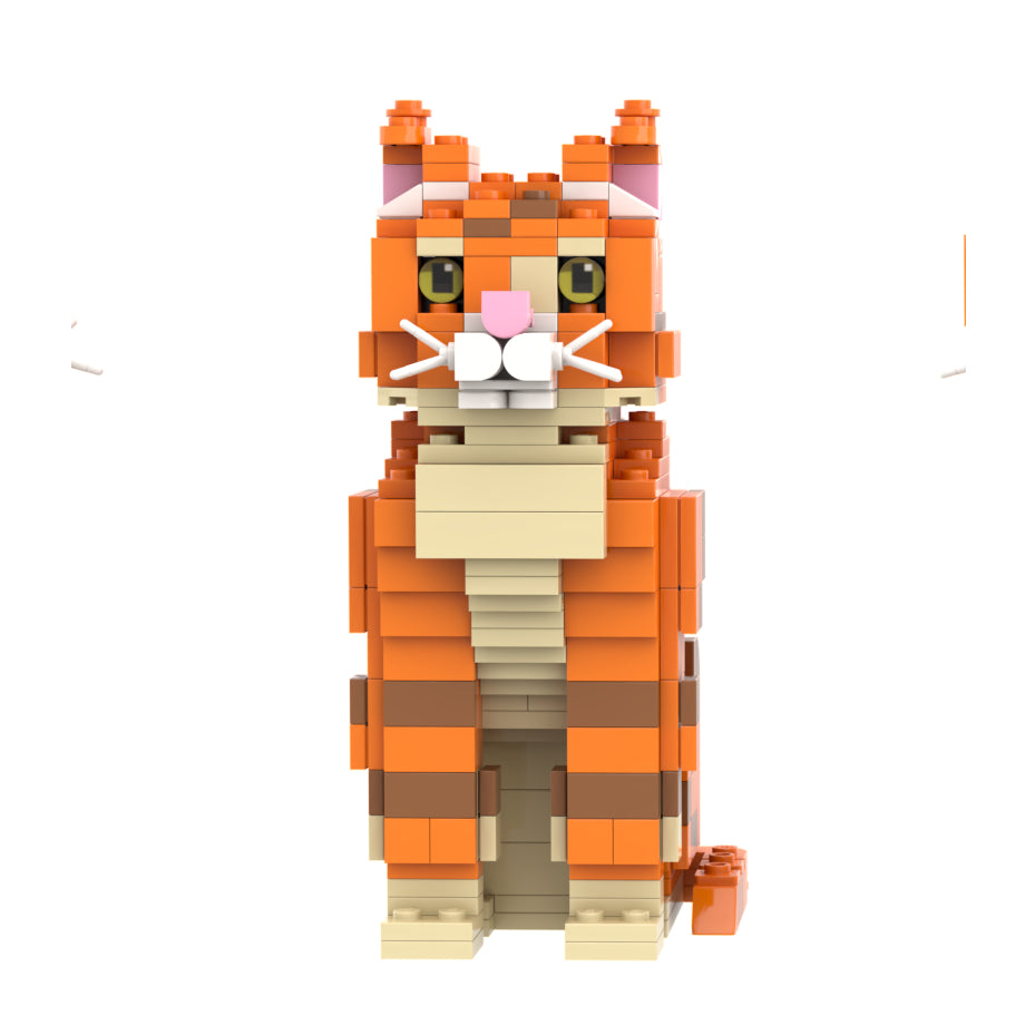 Ginger Cat Building Bricks