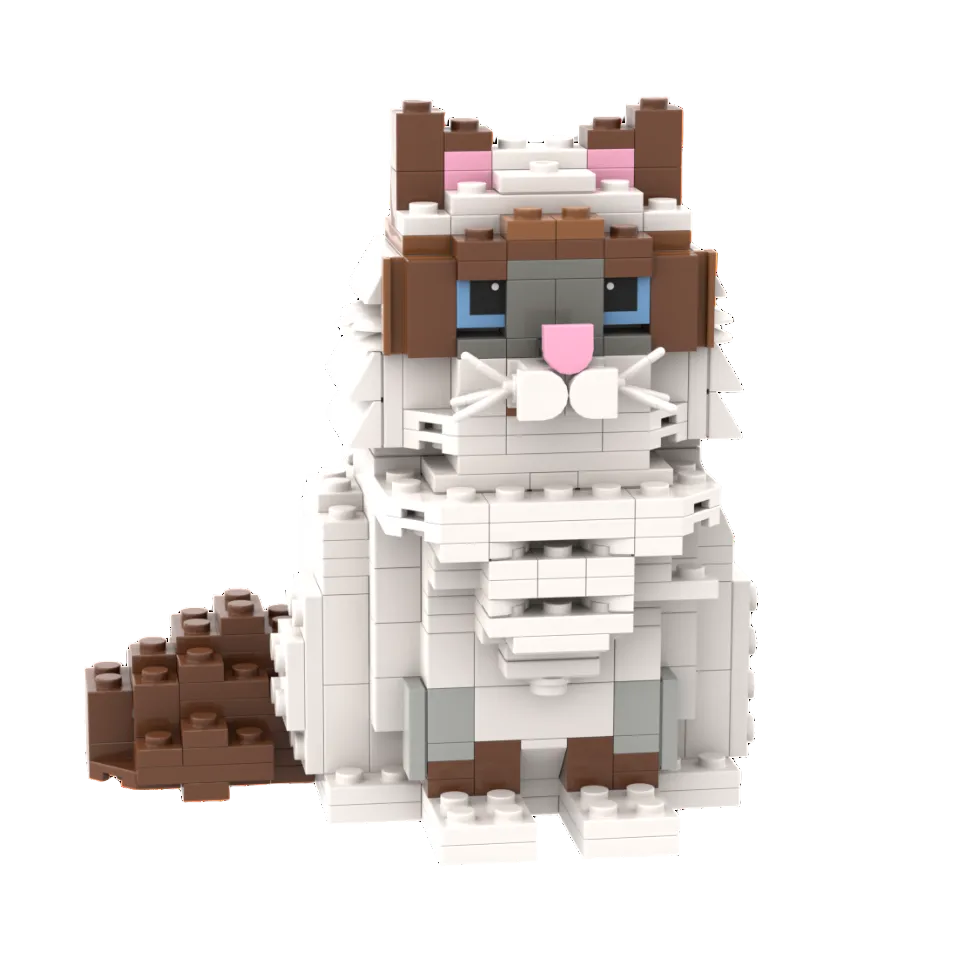 Ragdoll Building Bricks Cat