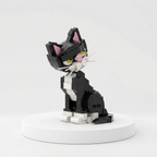 Tilting Head Tuxedo Cat